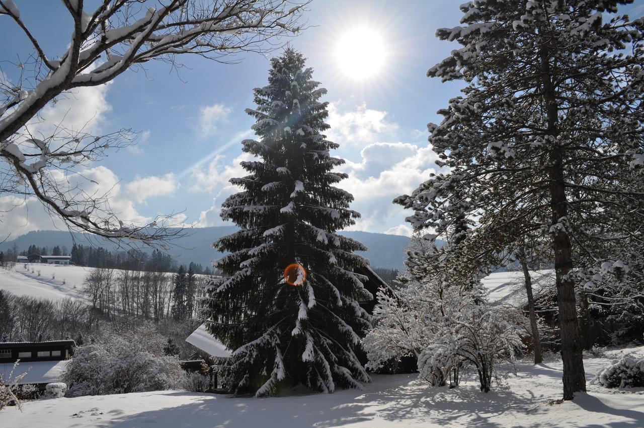 Ferienhaus Chiemgauer Auszeit- Chiemgaukarte Inclusive Siegsdorf Exteriör bild