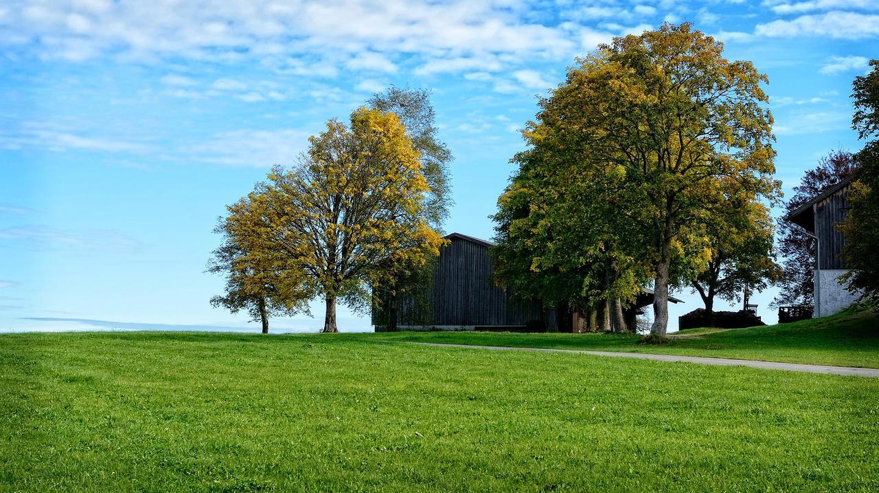 Ferienhaus Chiemgauer Auszeit- Chiemgaukarte Inclusive Siegsdorf Exteriör bild